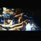 Illustration for article titled New Transformers 2 Trailer: More Robogasm, More Awesome!